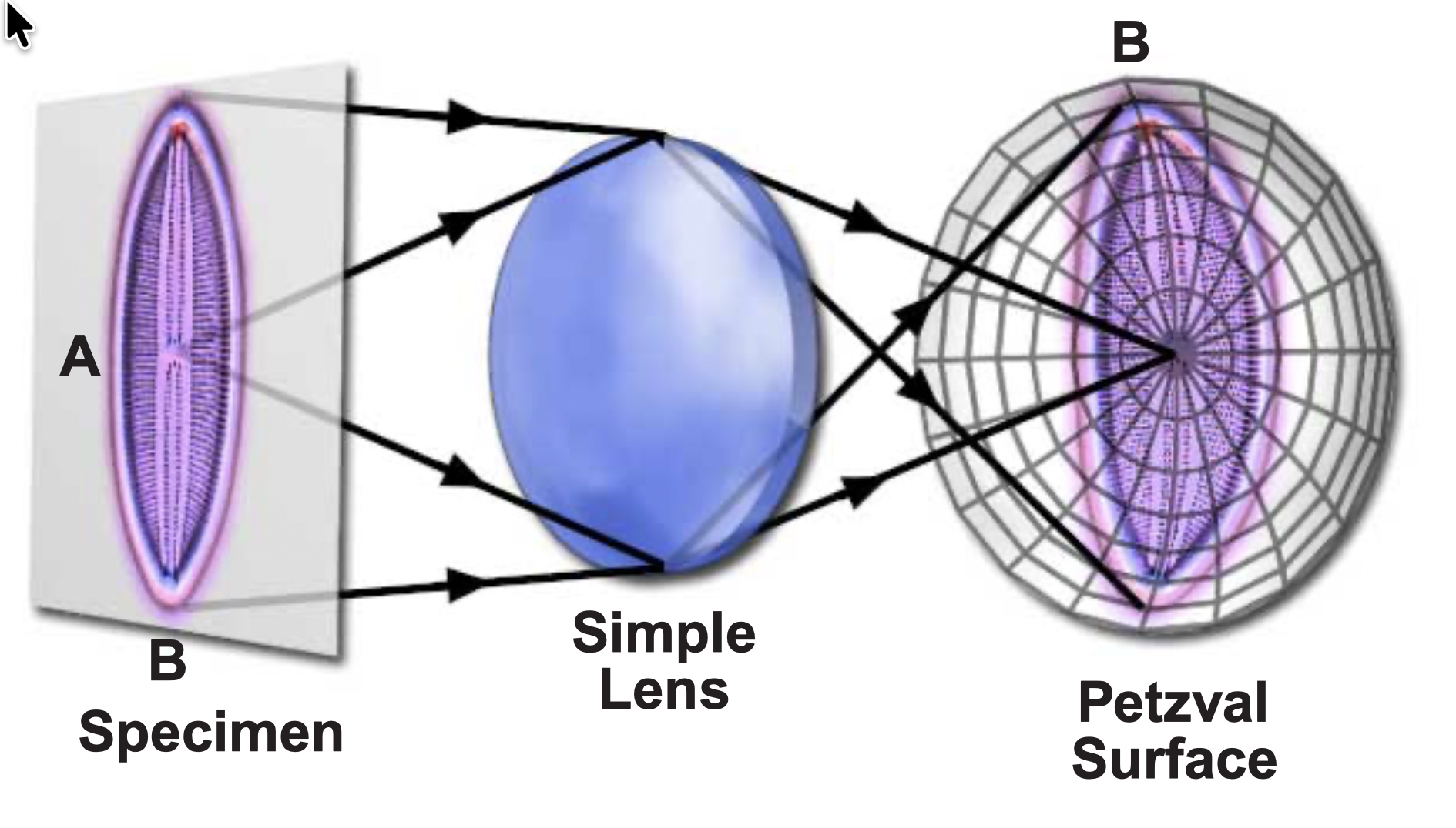 petzval survace with a simple lens
