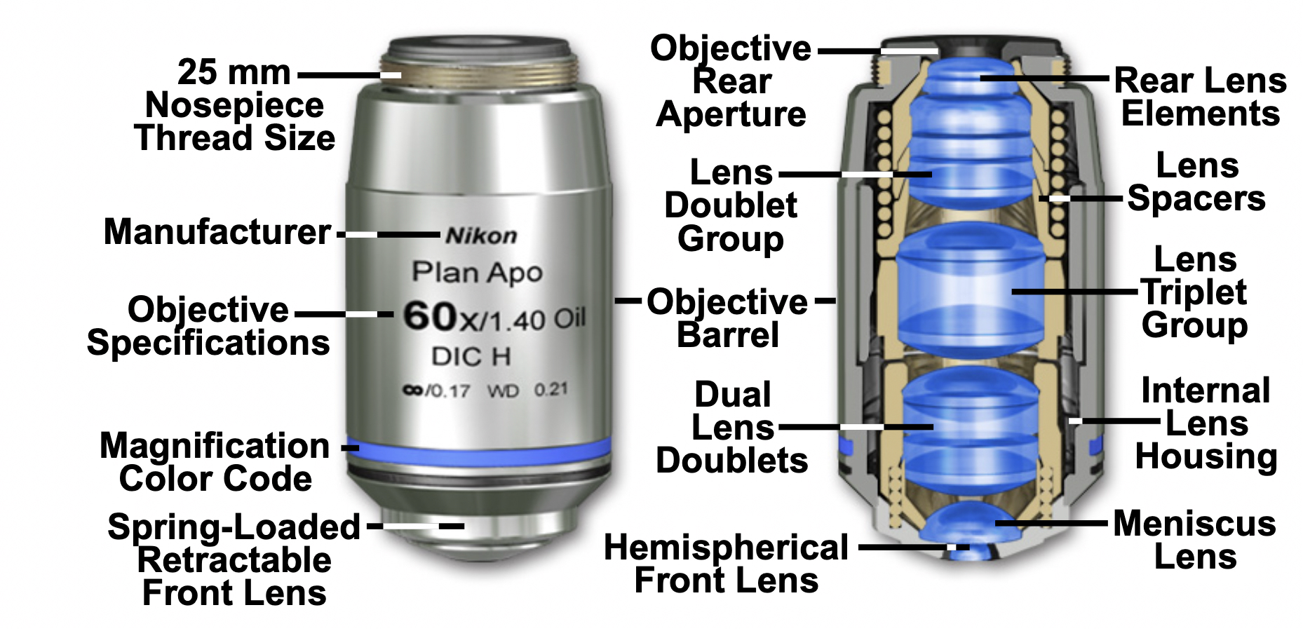 cut-away of an objective lens