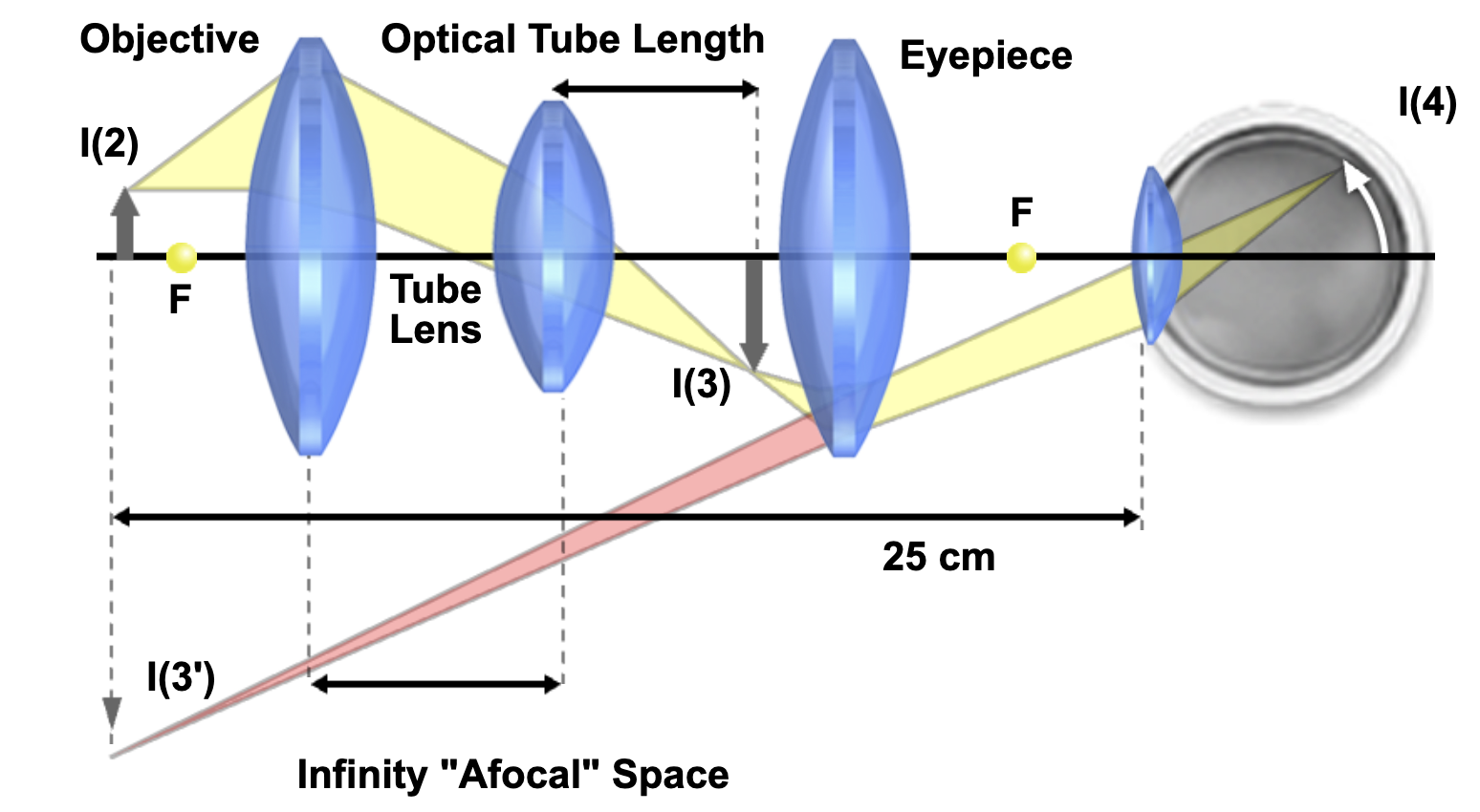 ray diagram of a three lens