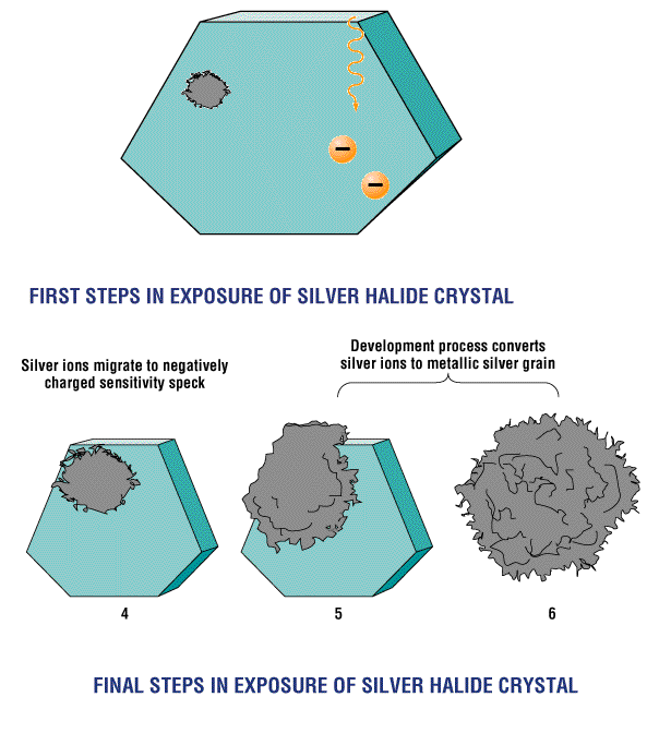 silver halide exposure