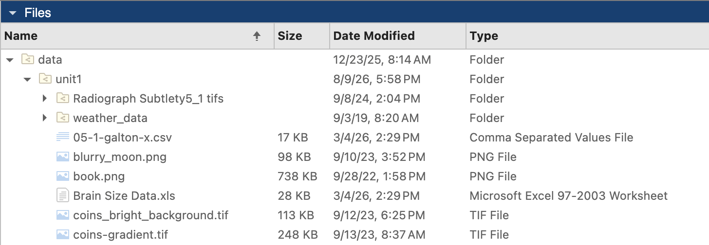 Files Window