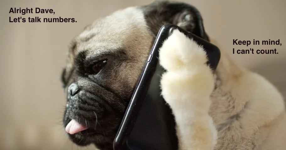 Business-Dog-holding-phone