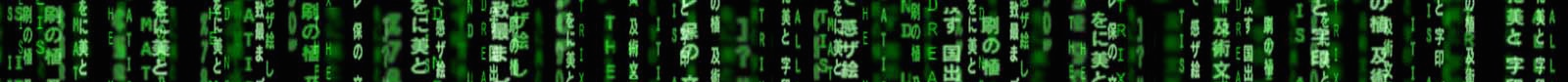 The matrix - the language of computers
