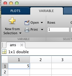 Image of Variable Editor