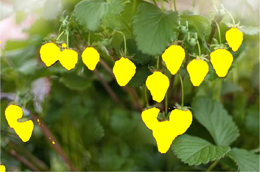 strawberry mask burned on strawberry image