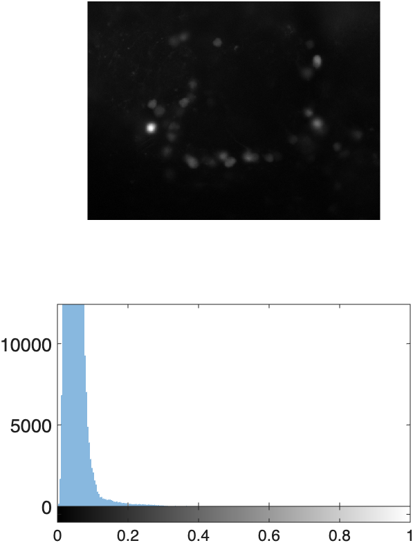 example of Grayscale image