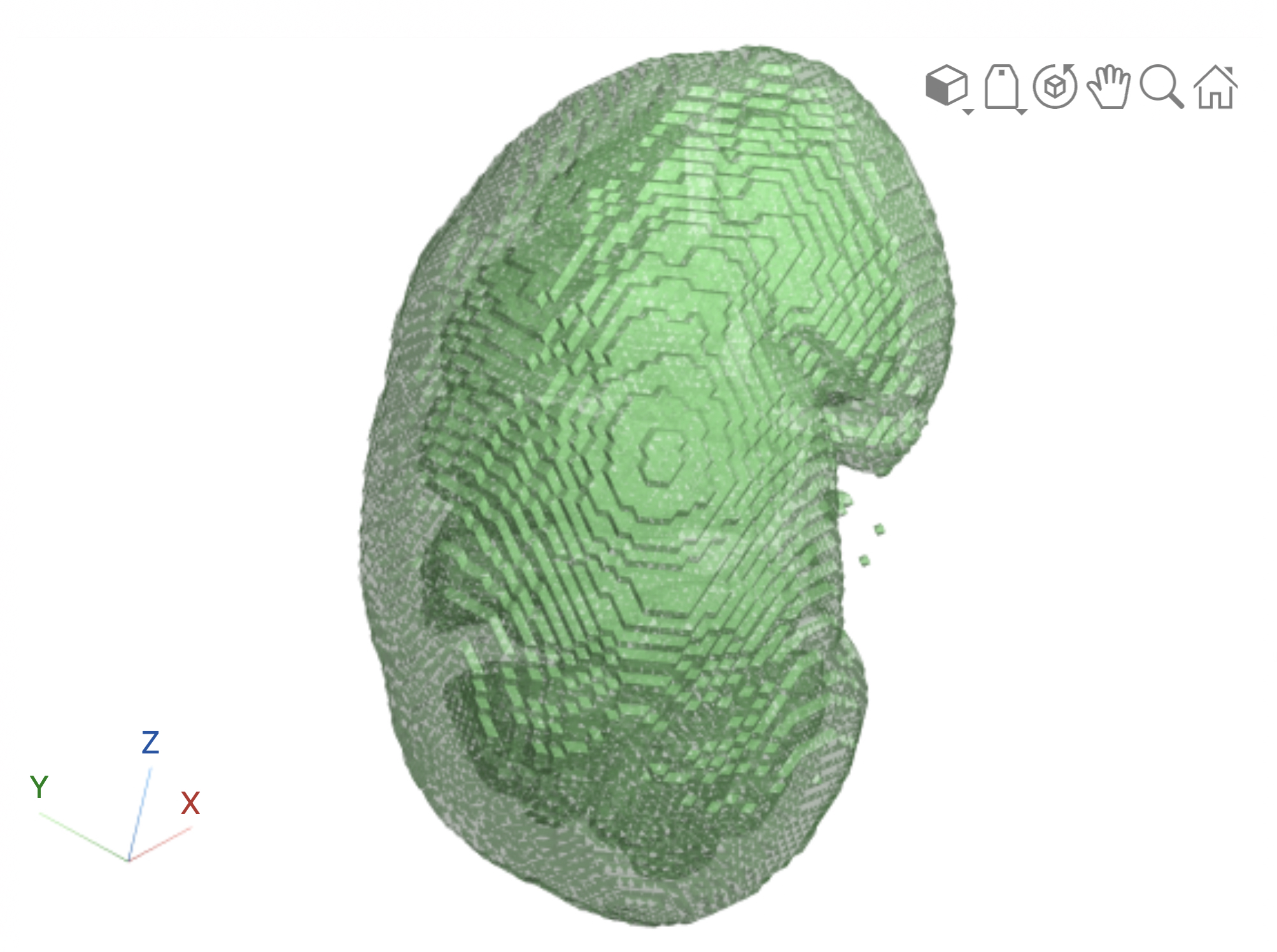 surface render of right kidney