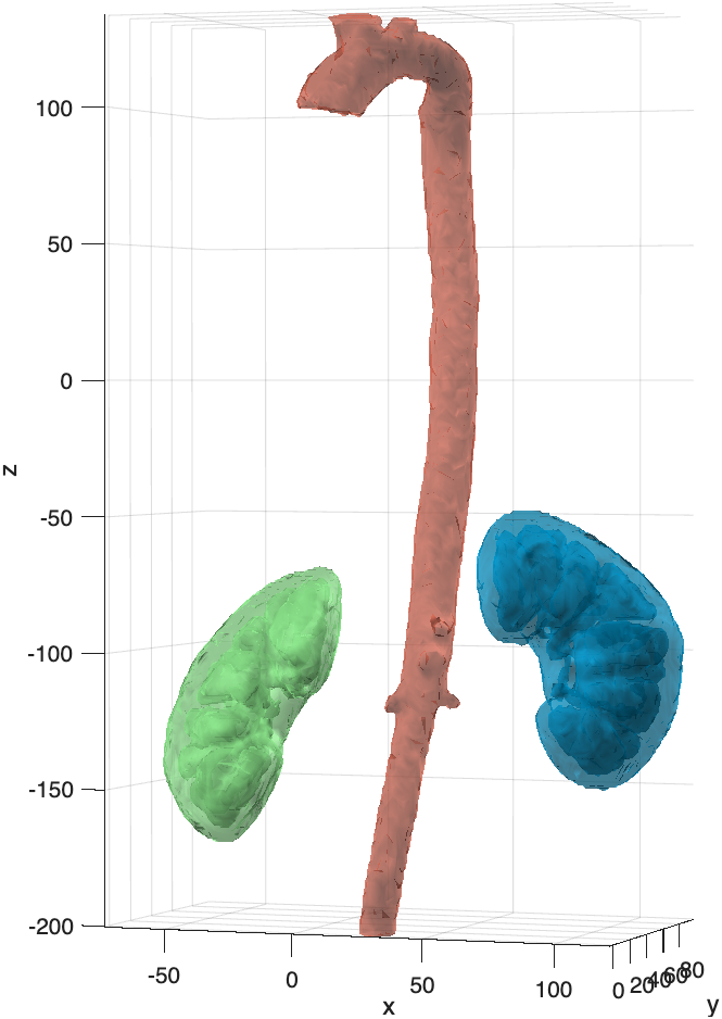 surface render of kidneys and aorta
