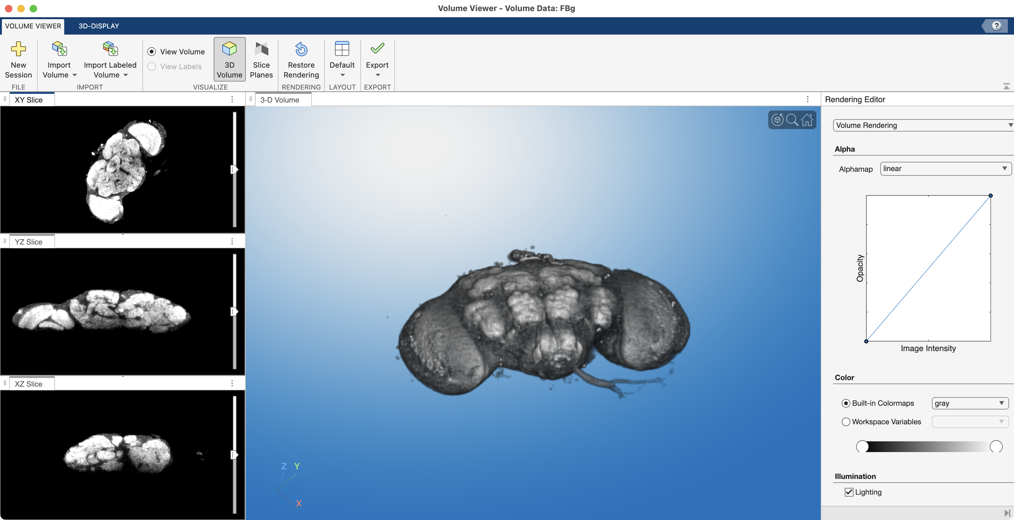 Screengrab of VolumeViewer App showing the green channel from the fly brain